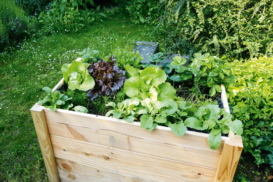 Hochbeet Gem&uuml;se