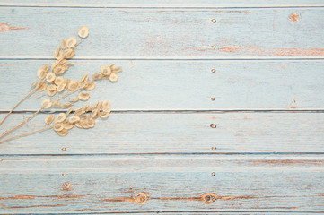 Fototapeta na wymiar Dried flowers on a light wooden background. Flowers on the edge of the table. Background for items and messages. Old painted boards