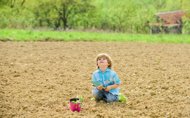 Naklejka na ściany i meble Gardening concept. Child having fun with little shovel and plant in pot. Planting seedlings. Planting in field. Little helper in garden. Boy sit on ground planting flower in field. Fun time at farm