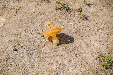 Tétine pour enfant perdu sur le sable
