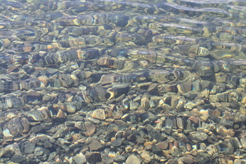 stones in water