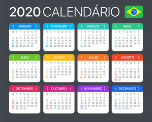 2020 Calendar - vector template graphic illustration - Brazilian version