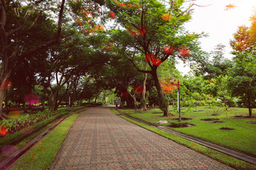 Beautiful colorful flowers and green nature plant tree forest in the public garden and green city parks