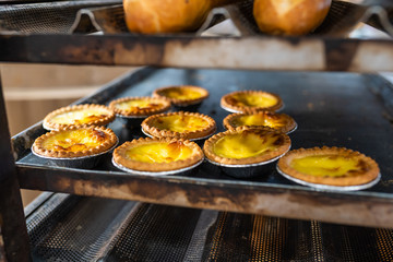 Fresh baked egg tarts on cooling rack