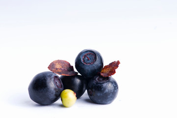 Blueberry on a white background macro shooting.Blueberries (bilberries)  on white background