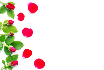 Red roses with leaves and buds on a white background. Background for holiday, birthday,  Mother's Day, Valentine's day, Women's Day. Top view, flat lay composition. Copy space for text or design.