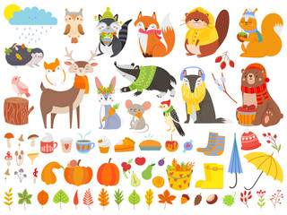 Fototapeta premium Autumn forest animals. Fall squirrel, funny bear and cute autumnal fox. Fallen leaves cartoon vector set