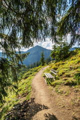 On the Hiking path up to the Summit of the Hoher Ifen mountain / Austria