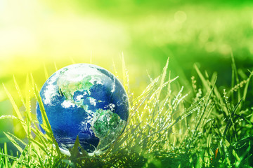 Global earth in sun light on green grass with rain drops on the grass, Earth and water concept,...