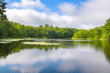 Naklejka na ściany i meble Summer Landscape lake and blue sky. Beautiful wild nature, forest. Lake with mirror reflections