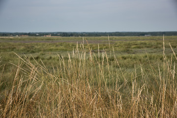 herbes havre st martin sur ay