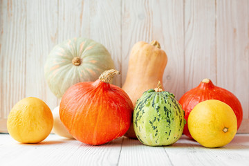 Colorful different pumpkins in front of wooden wall Rustic style