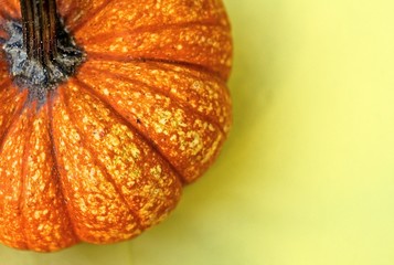 autumn pumpkin on a yellow background