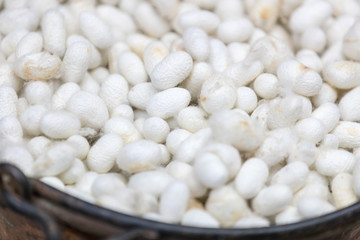 Cocoon of Bombyx mori in the bucket, silk raw material