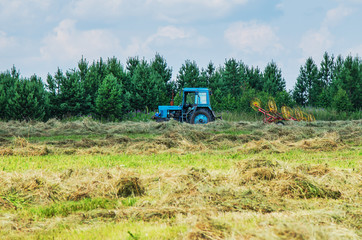 Fototapeta premium Hay harvesting with the help of special equipment