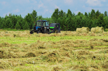 Obraz premium Hay harvesting with the help of special equipment