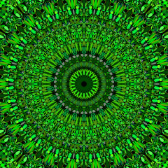 Abstract floral mandala background design - circular vector geometry