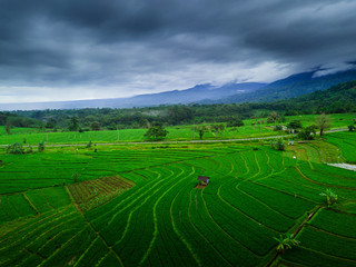 Fototapeta na wymiar asia travel destination forest tropical at paddy fields with cloudy