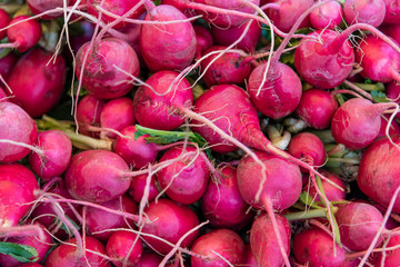 Fresh ripe radish on market. Vegetables background. Organic Market: Big pile of red radishes. Carmel Market, Tel Aviv, Israel