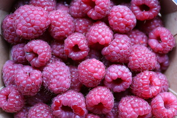 fresh raspberries on white background