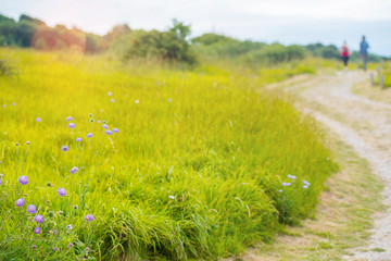 couple hiking in a marked countryside path