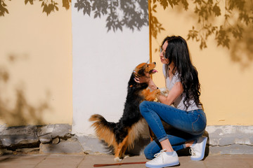Woman and her dog on background of wall with contrast shadows. Funny spaniel mutt standing on hind...