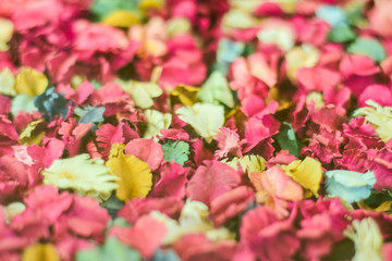 The flower petals are made from beautiful colored pencils.