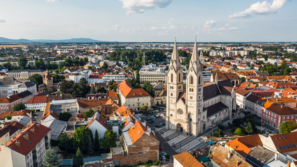 Aerial view of Wiener Neustadt Cathedral