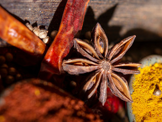 gewürze spices ground and whole