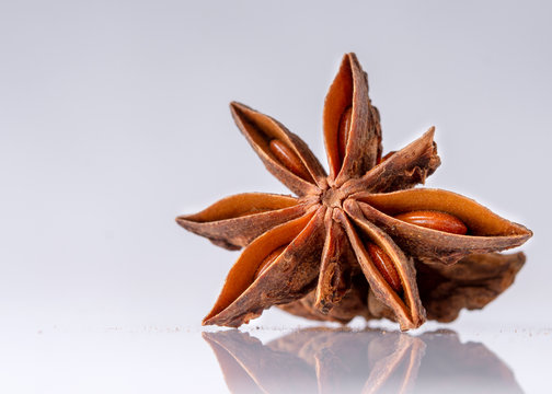 gew&uuml;rze spices ground and whole