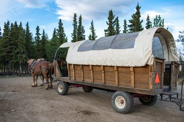 Covered wagon with draft horses