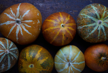 Muskmelon no rusty metal floor