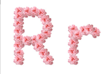 English alphabet from flowers of pink roses, letter R, collage.