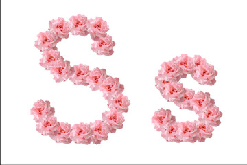 English alphabet from flowers of pink roses, letter S, collage.