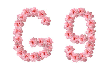 English alphabet from flowers of pink roses, letter G, collage.