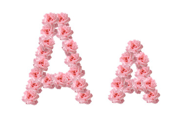 English alphabet from flowers of pink roses, letter A, collage.