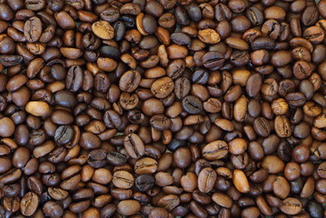 Coffee beans close-up.
