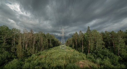 power line in the forest