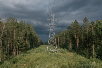 power line in the forest