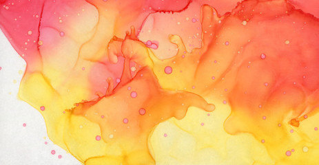 Red and Yellow Alcohol Ink Abstract Fluid Painting Background on White