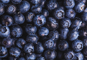 ripe blueberry berries background. healthy food