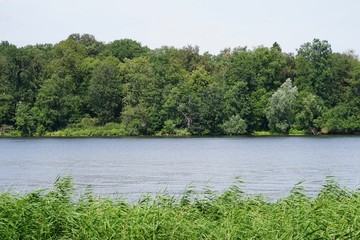 Blick über die Havel mit Schilf im Wind