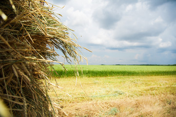 Storage with piles of stacks of hay