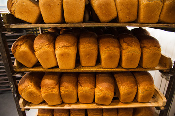 Bakery. Production of bread, rolls, pies and cookies