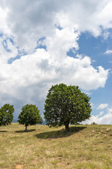 Fototapeta premium Landscape of Ograzhden Mountain, Bulgaria