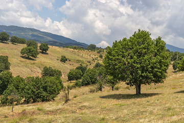 Landscape of Ograzhden Mountain, Bulgaria