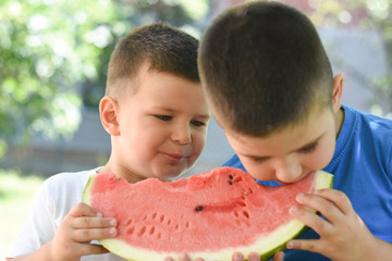 Cute boy eating healthy organic watermelon in garden. Child with a big slice of watermelon