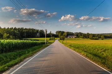 Road through the field and clouds on blue sky in summer day