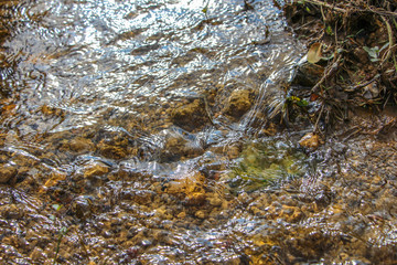 The sun shines on the flowing stream table, and the clear water can see the stones below.