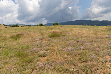 Obraz premium Landscape of Ograzhden Mountain, Bulgaria
